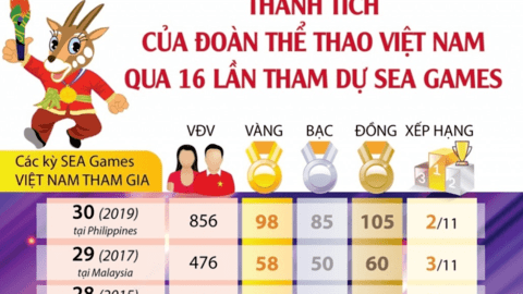 Thành tích của Đoàn Thể thao Việt Nam qua 16 lần tham dự SEA Games