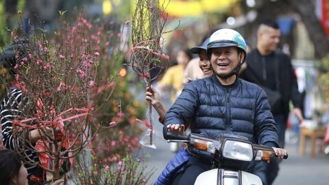 Hà Nội tổ chức 83 điểm chợ hoa Xuân phục vụ Tết Nguyên đán Giáp Thìn 2024