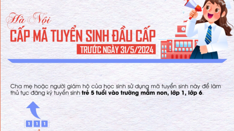 Hà Nội: Cấp mã tuyển sinh đầu cấp trước ngày 31/5