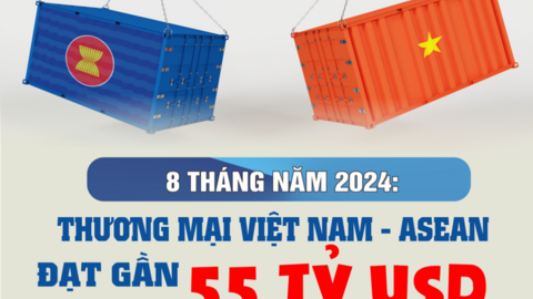 (Infographic) 8 tháng đầu năm 2024: Thương mại Việt Nam - ASEAN đạt gần 55 tỷ USD