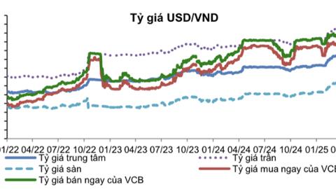 USD vẫn là 'hầm trú ẩn' của nhà đầu tư Việt dù DXY đã hạ nhiệt?