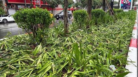 Cần thể hiện tình yêu nước một cách văn minh