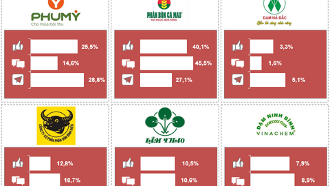 Thị trường phân bón qua dữ liệu truyền thông Quý IV/2025