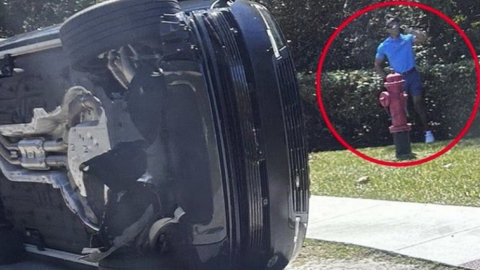 Tiger Woods bị bắt trong vụ tai nạn xe hơi