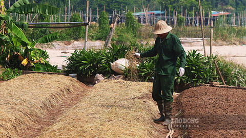 Người dân Tây Tựu tất bật cải tạo đất, khôi phục trồng hoa sau trận mưa ngập kéo dài