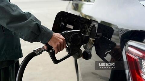 Giá xăng dầu hôm nay 14.10: Đảo chiều