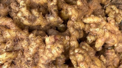 3 loại củ giúp làm sạch gan, giảm viêm tự nhiên