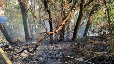 Hải Phòng siết chặt quản lý, xử lý nghiêm hành vi tự ý đốt rác, phế liệu