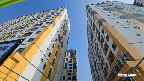 Hải Phòng: Khánh thành 7 tòa nhà ở xã hội quy mô gần 2.000 căn hộ