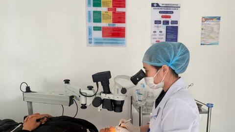 Nhiều người bị chấn thương mắt khi hái cà phê ở Lâm Đồng