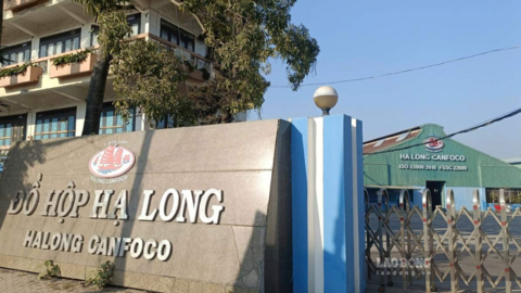 Vai trò của TGĐ Đồ hộp Hạ Long trong vụ 130 tấn thịt lợn nhiễm dịch