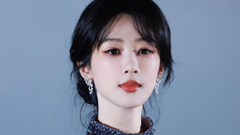 Dương Tử chấp nhận tất cả sự phê bình, chỉ trích