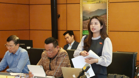 Tiếng nói giáo dục trong chính sách