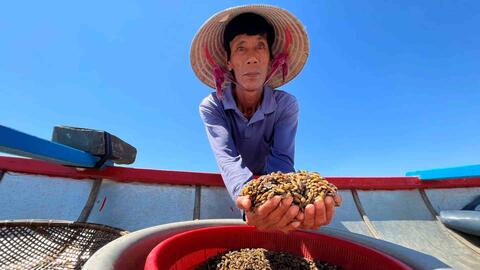 Đặc sản don Quảng Ngãi - thức quà quê nghe tên khó đoán