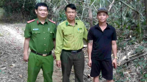 Phát hiện rắn hổ mang chúa quý hiếm, người dân báo cơ quan chức năng thả về tự nhiên