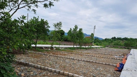 Giá đất nền giảm nhưng khó bán