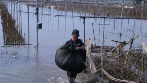Ninh Bình hỗ trợ tới 60 triệu đồng sửa nhà từ quỹ thiên tai