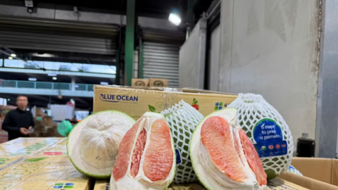 Lô bưởi tươi đầu tiên của Việt Nam xuất khẩu vào Úc đã đến tay người tiêu dùng