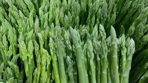 Cách bổ sung vitamin B1 để hỗ trợ tăng cơ bắp từ măng tây