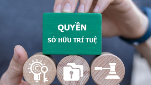 Thủ tướng yêu cầu triệt phá website phim, âm nhạc, chương trình truyền hình lậu