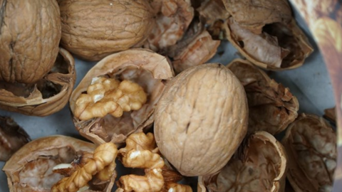 Thực phẩm chứa nhiều omega-3 hơn cá ngừ