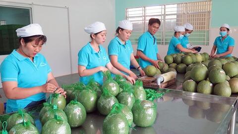 Xuất khẩu rau quả tăng trưởng mạnh, tiến gần mốc 10 tỷ USD