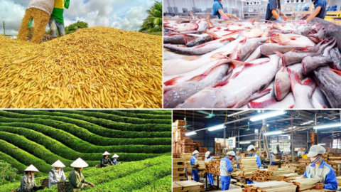 Nông, lâm, thủy sản xuất siêu hơn 7,5 tỷ USD sau 5 tháng