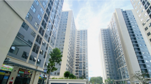 Hoàn thiện chính sách đất đai, tín dụng, khuyến khích tư nhân phát triển nhà ở cho thuê