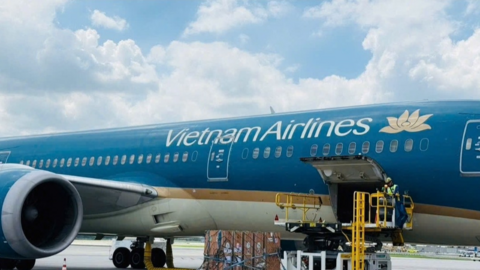 Vietnam Airlines đồng hành vận chuyển sếu đầu đỏ từ Thái Lan về Việt Nam, góp phần bảo tồn đa dạng sinh học