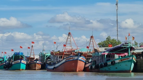 Cà Mau siết quản lý ngư trường, giảm áp lực khai thác ven bờ