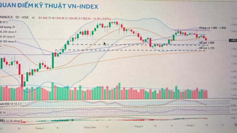 VN-Index chịu áp lực điều chỉnh mạnh và xu hướng đầu tư