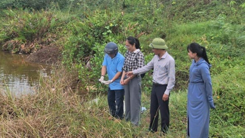 Cá chết hàng loạt ở Quảng Trị, người nuôi mất trắng