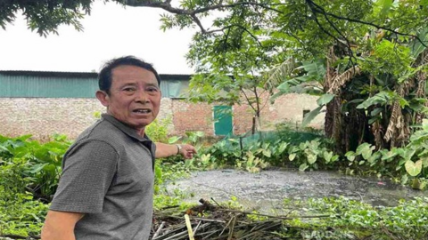 Ô nhiễm kéo dài từ các trang trại chăn nuôi ở Hưng Yên