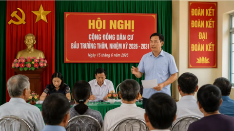 Từ 1/8, TP HCM cho phép kéo dài nhiệm kỳ trưởng thôn, khu phố tối đa 6 tháng