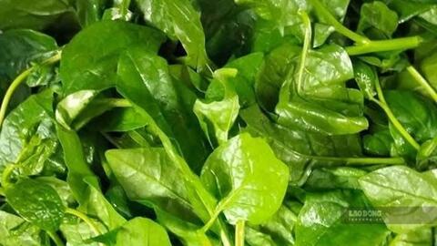 Những loại rau có thể hỗ trợ ổn định đường huyết