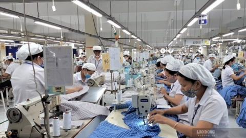 Doanh nghiệp chậm trả lương, người lao động cần lưu lại chứng cứ gì