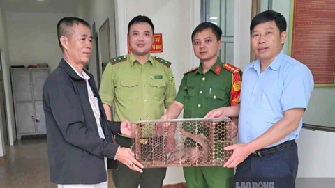 Người dân giao nộp cá thể tê tê quý hiếm cho cơ quan chức năng