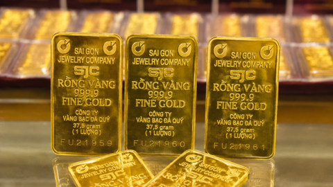 Giá vàng sáng nay 10/8/2026: Tiếp tục điều chỉnh giảm