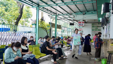 TPHCM gia tăng bệnh tai mũi họng do nhiều loại virus