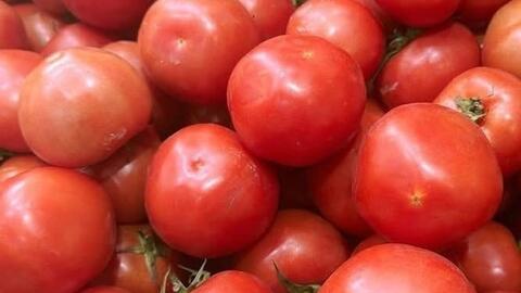 Cách ăn cà chua làm đẹp da khi thời tiết hanh khô
