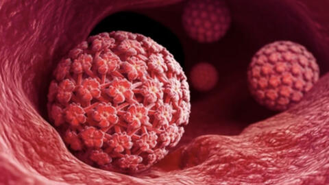 Cách giúp cơ thể kiểm soát HPV và phòng ngừa tái nhiễm hiệu quả