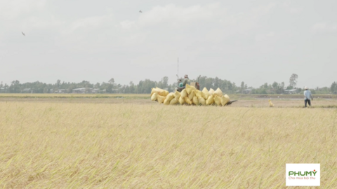 Trailer truyền thông chương trình "Cho mùa bội thu" khu vực Miền Bắc