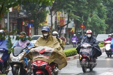 <a href="/moi-truong" title="Môi trường" rel="dofollow">Môi trường</a>