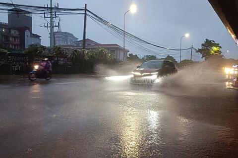 <a href="/moi-truong" title="Môi trường" rel="dofollow">Môi trường</a>