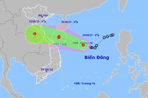 <a href="/moi-truong" title="Môi trường" rel="dofollow">Môi trường</a>