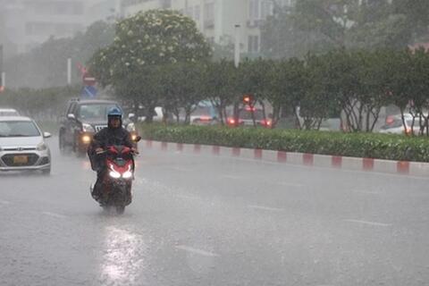 <a href="/moi-truong" title="Môi trường" rel="dofollow">Môi trường</a>