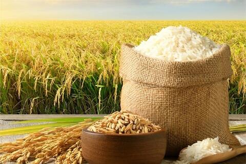 <a href="/kinh-te" title="Kinh tế" rel="dofollow">Kinh tế</a>