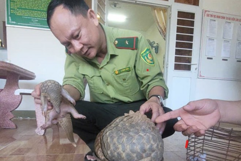 <a href="/tin-tuc" title="Tin tức" rel="dofollow">Tin tức</a>