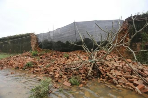 <a href="/giai-tri" title="Giải trí" rel="dofollow">Giải trí</a>