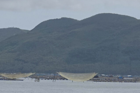 <a href="/moi-truong" title="Môi trường" rel="dofollow">Môi trường</a>